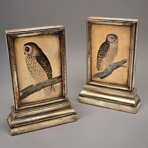 Borghese Owl Bookends Vintage Italy Plaster Faux Serre Livres Art Teacher Chic